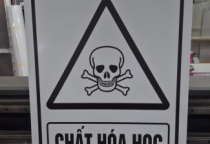  SỰ ĐA DẠNG VỀ CHẤT LIỆU IN – LINH HOẠT TRÊN MỌI BỀ MẶT